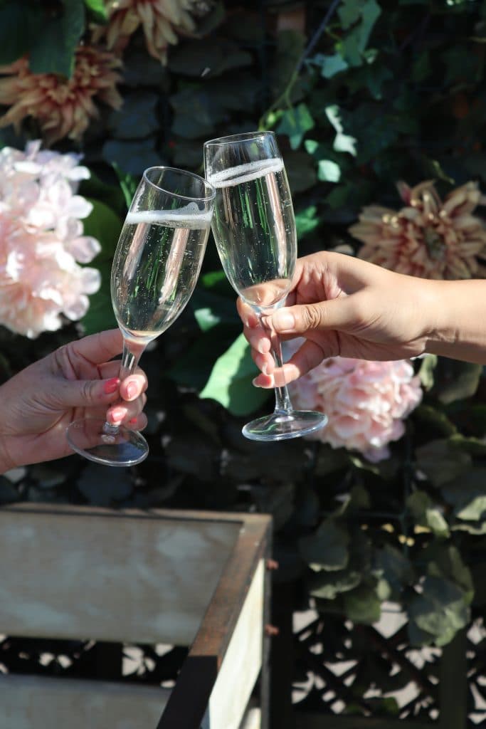 Cover Image for Drinks on the house!