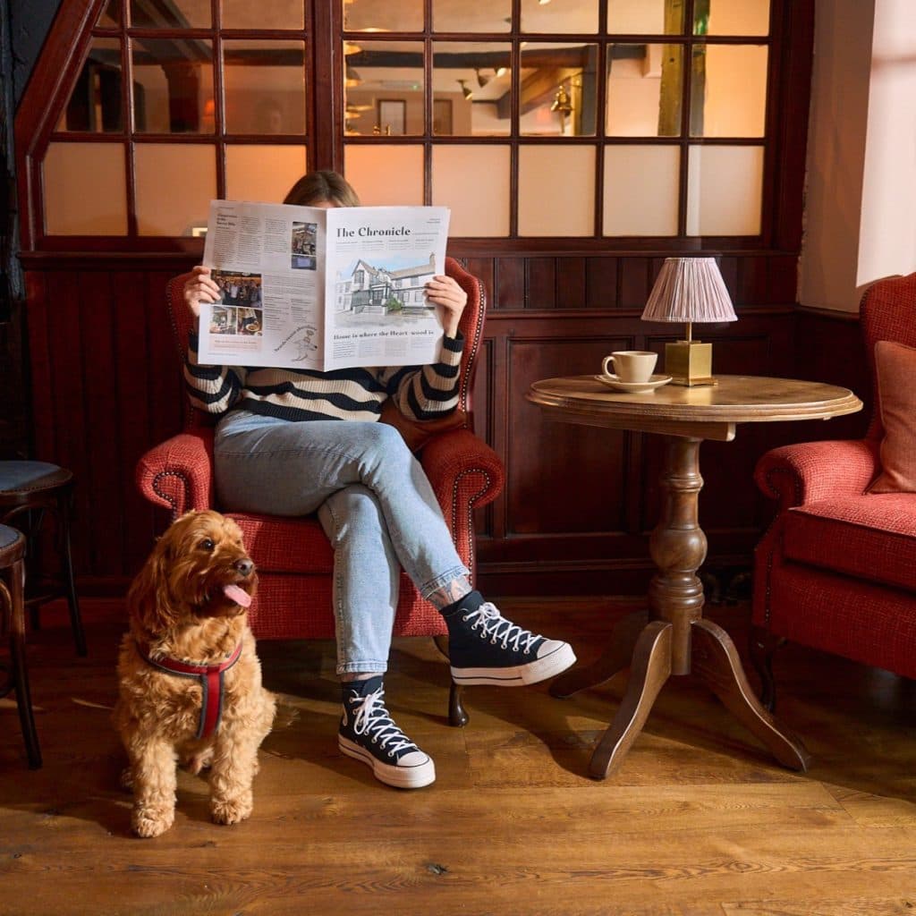Cover Image for Celebrating National Pet Month with us at The Plough & Harrow